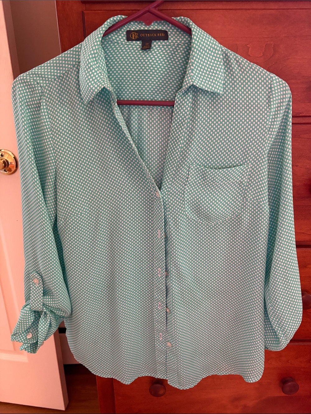 Outback Red Mint Green Dot Collared Button-Down Shirt